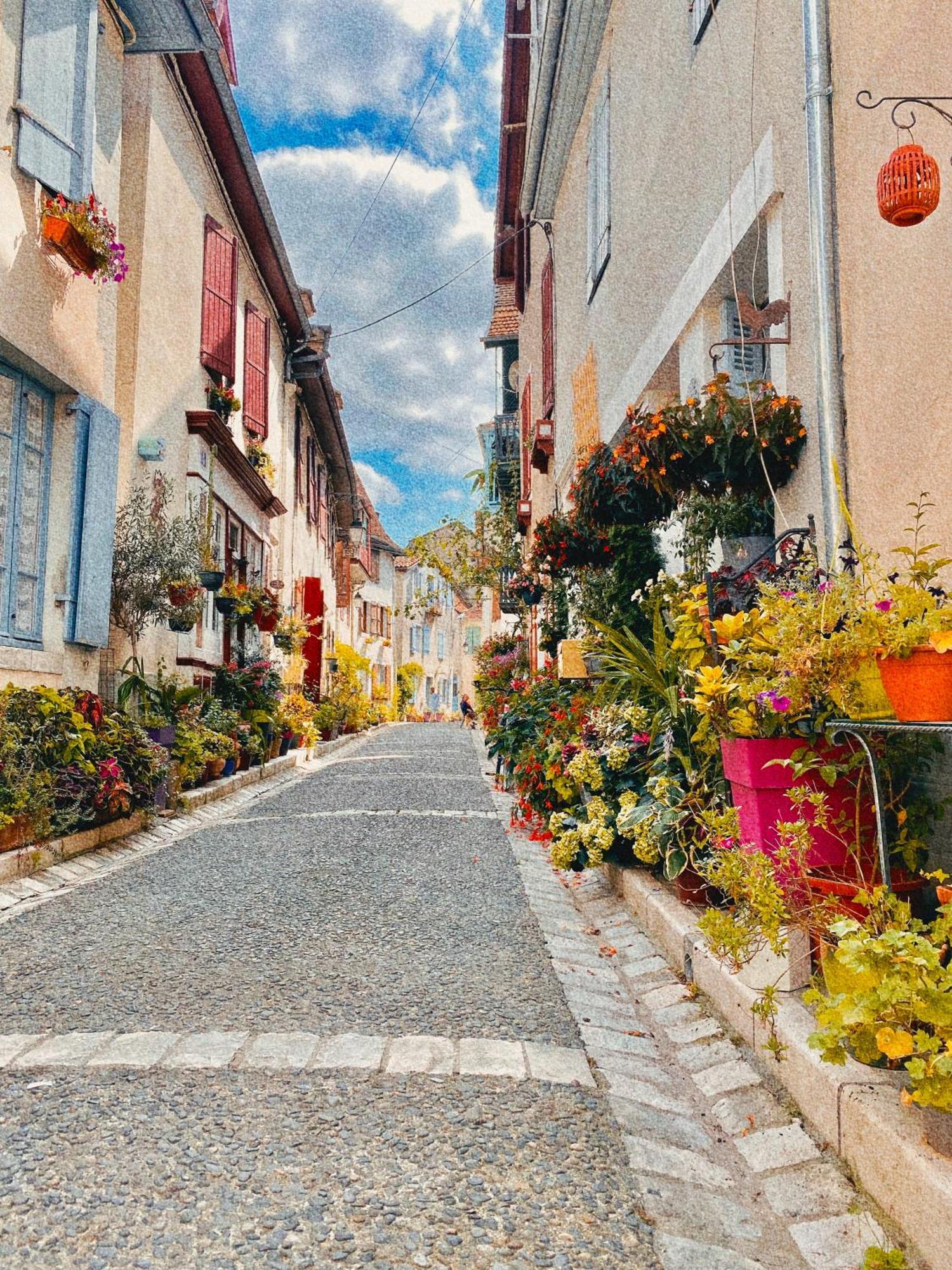 Agreable Petit Gite Avec Piscine Et Jardinet Salies-de-Béarn Dış mekan fotoğraf